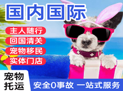 扎兰屯航空邮寄国际宠物托运 【国